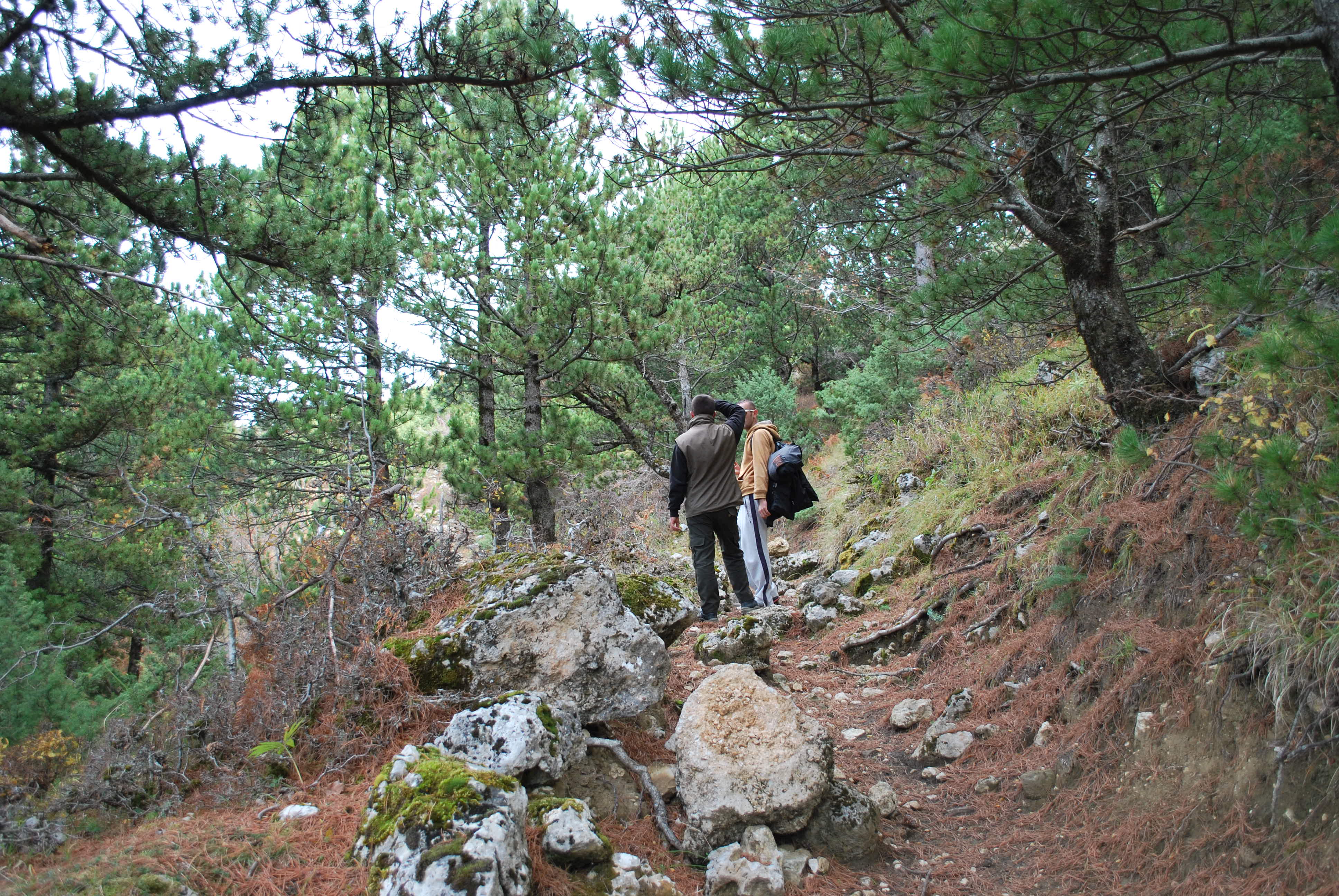 Hiking In Tomorr Mountain north Summit Things to do in Berat