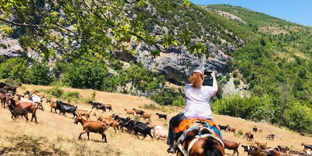 WhatsApp Image 2021-11-24 at 12.17.38 PM (1)